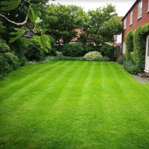 Scarifying Lawn (1)